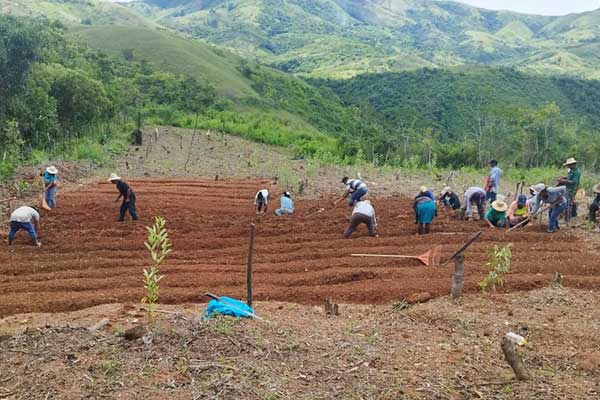 Banco reafirma compromiso con la infancia a través de agricultura orgánica y seguridad alimentaria