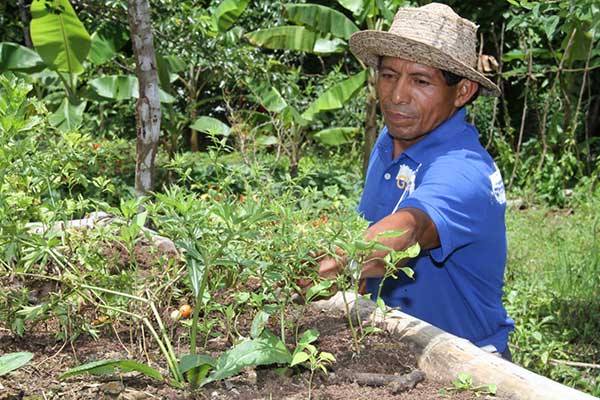 Anuncian Inscripciones para Concurso del Día del Productor y Profesional de las Ciencias Agropecuarias