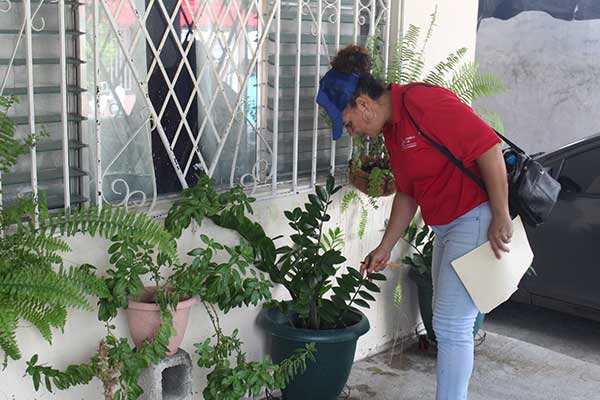 Ante aumento de casos, MINSA intensifica acciones contra el dengue