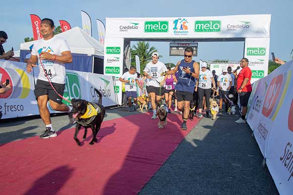 Mas de 500 animales sin hogar podrán ser esterilizados, gracias a la 1ra Carrera-Caminata Donatón