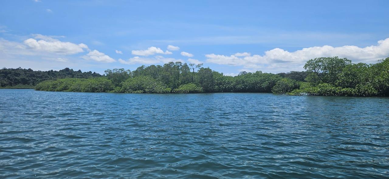Panamá da luz verde al reinicio de la construcción de la Estación Científica Coiba AIP